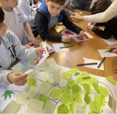 PYP Transdisiplinary Currriculum